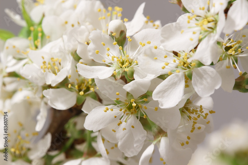 Breaking of spring