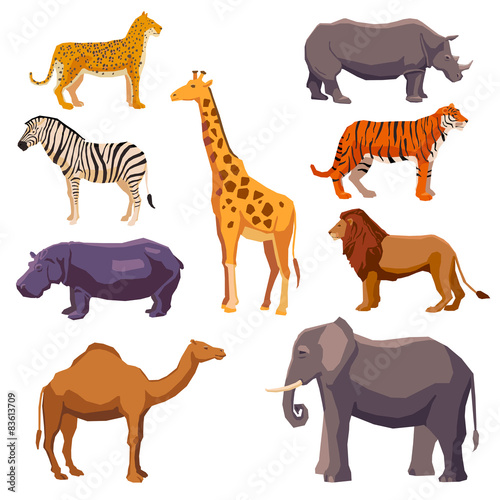 Africa animal decorative set © Macrovector