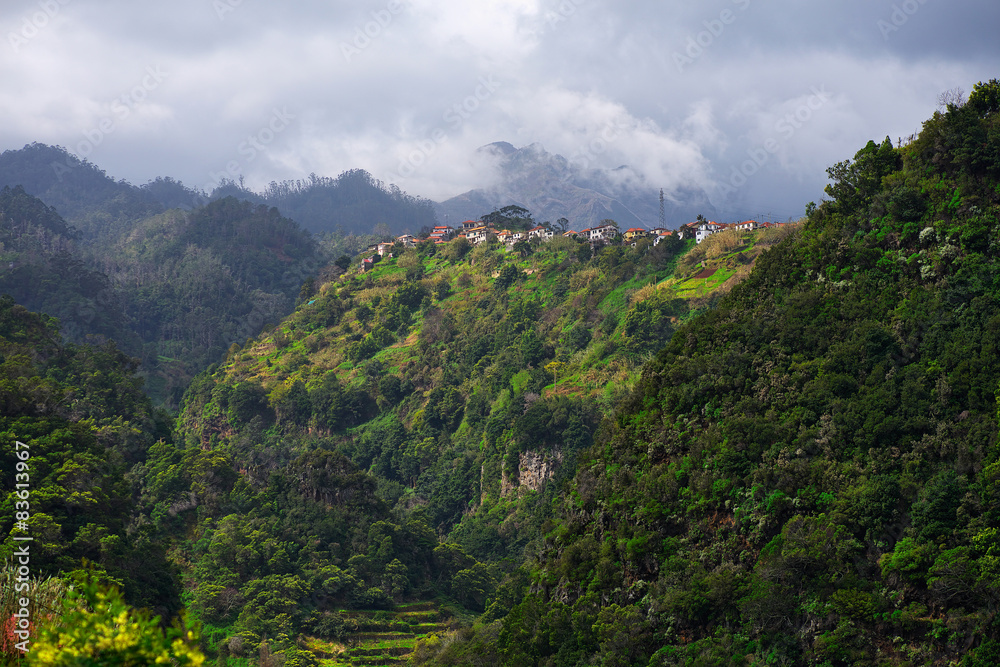 Naklejka premium Madeira