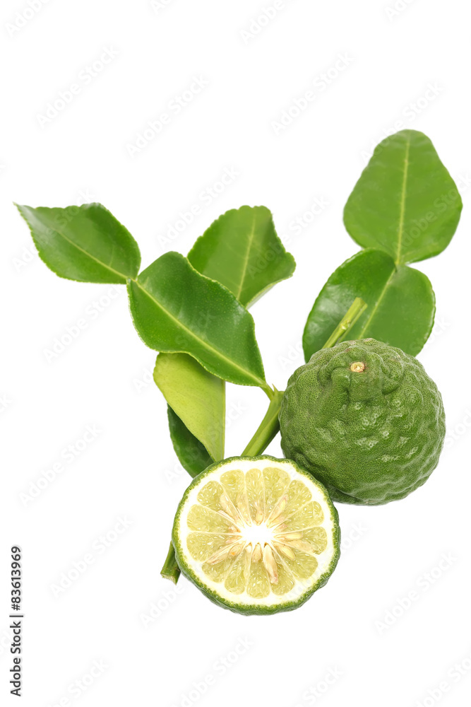 bergamot kaffir lime leaves herb fresh ingredient isolated bergamot kaffir lime leaves herb fresh ingredient isolated