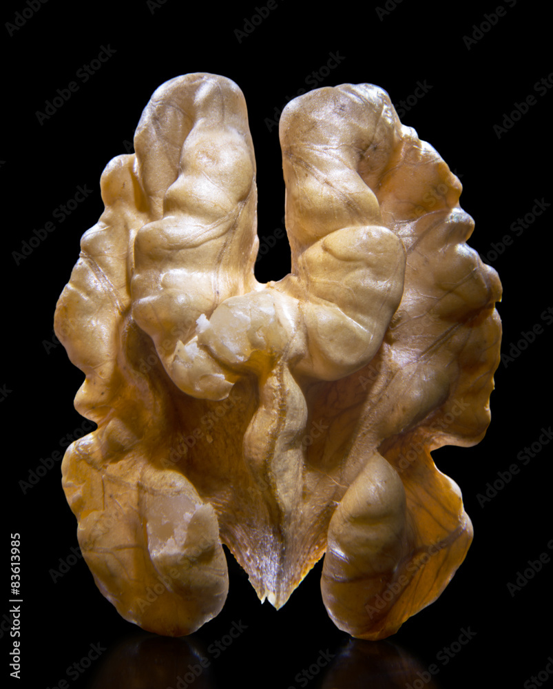 walnut walnut