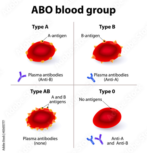 ABO Blood groups