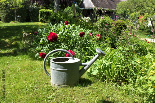 arrosoir dans un jardin devant un rosier