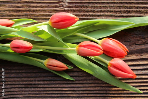 Tulpen auf altem Holz