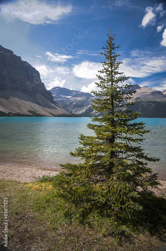 Clear Blue Lake Banff Alberta