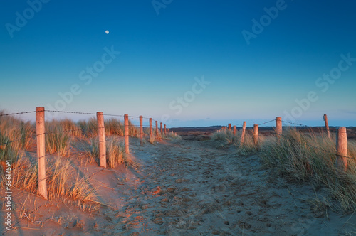 warm sunset light and moon over sand path