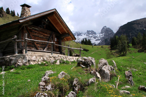 фотографія Primavera al cospetto delle Dolomiti di Brenta
