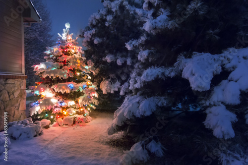 Heavy snow falls quietly on this magical Christmas Tree scene.