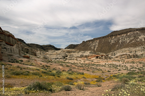 Antelope Valley Poppy Reserve, Kalifornien, USA