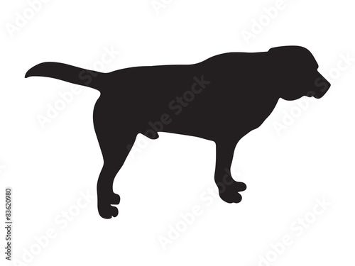 black sillhouete of dog