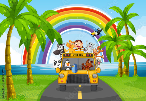 Animal and bus