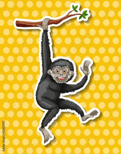 Gibbon