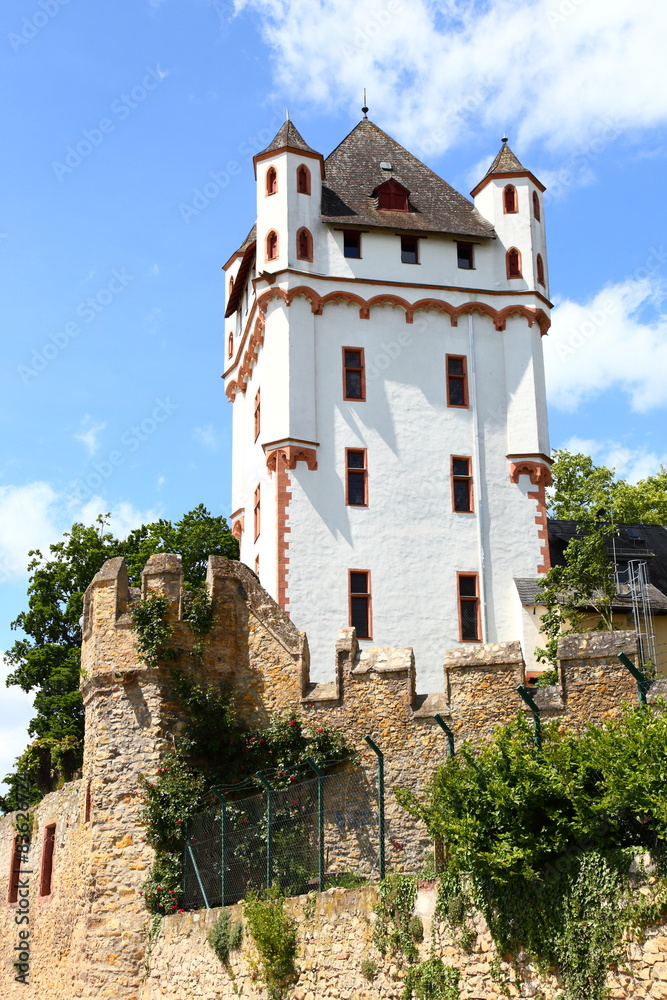 Eltville, die Kurfürstliche Burg (Mai 2015)