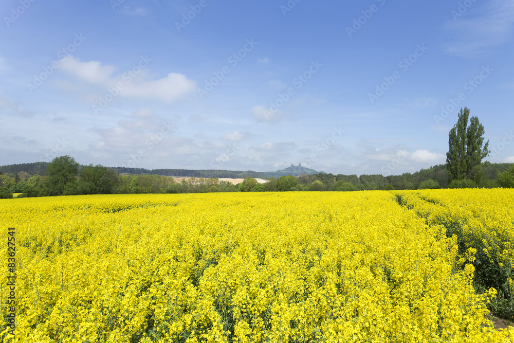 Spring Landscape in Bohemian Paradise with Castle Trosky