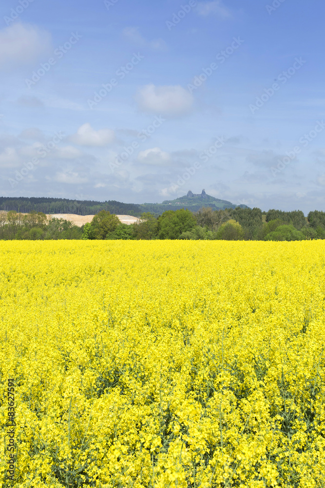 Spring Landscape in Bohemian Paradise with Castle Trosky Spring Landscape in Bohemian Paradise with Castle Trosky
