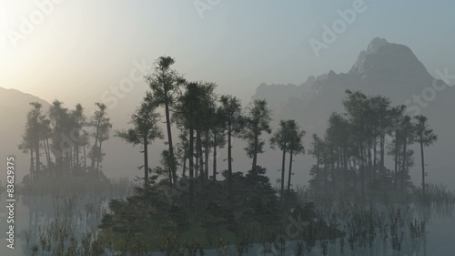 Silhouette of a trees in the water at Sunrise