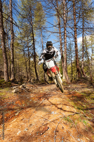 motocross nella foresta