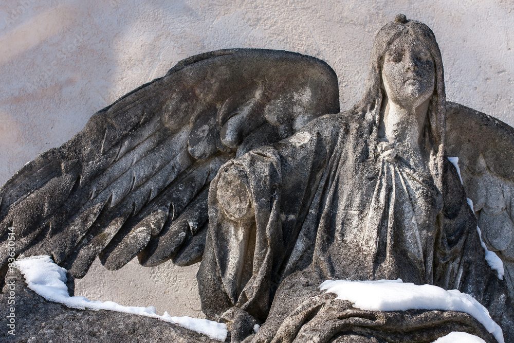 Fototapeta premium Broken Wings
