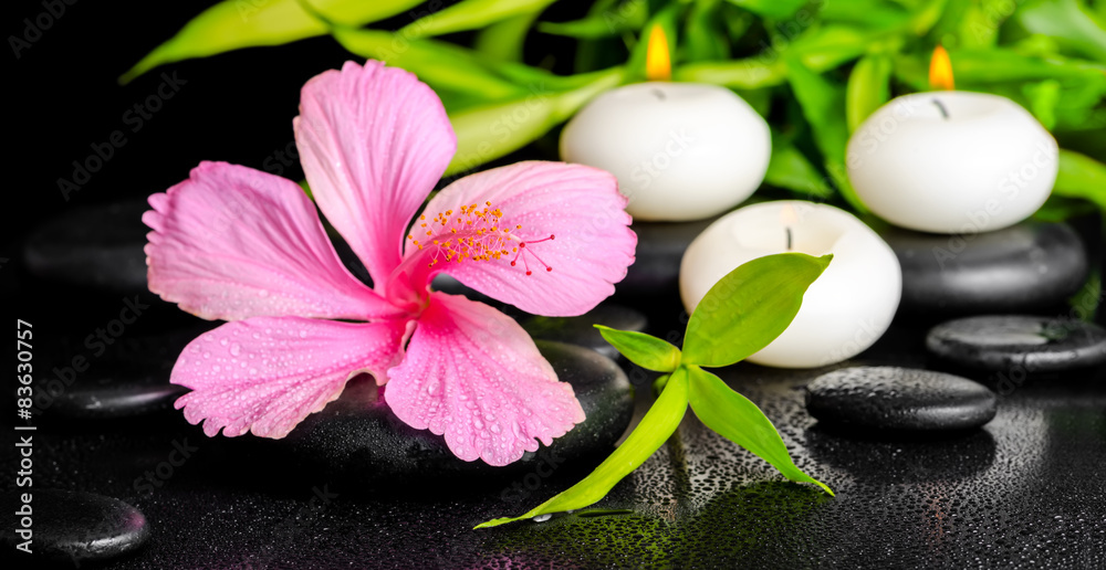 Obraz premium beautiful spa concept of blooming twig red orchid flower, phalae