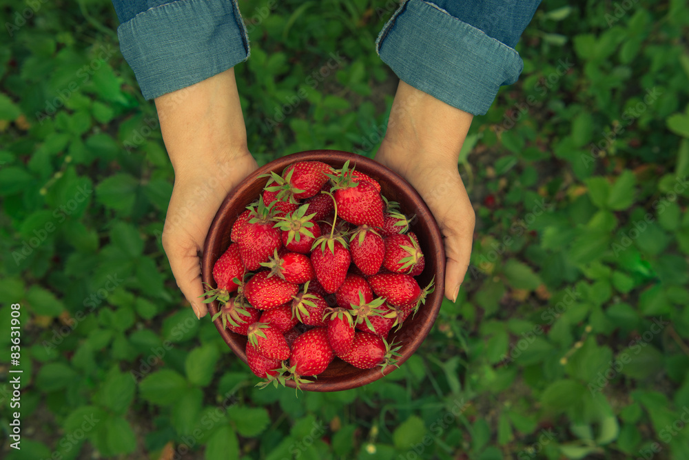 Hands holding fresh strawberries in a bowl Hands holding fresh strawberries in a bowl