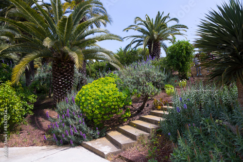 Photography Botanical garden of Barcelona, Spain
