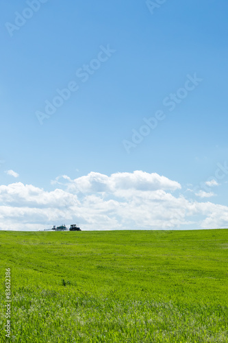 Agricultural tractor working in a green wheat field at noon