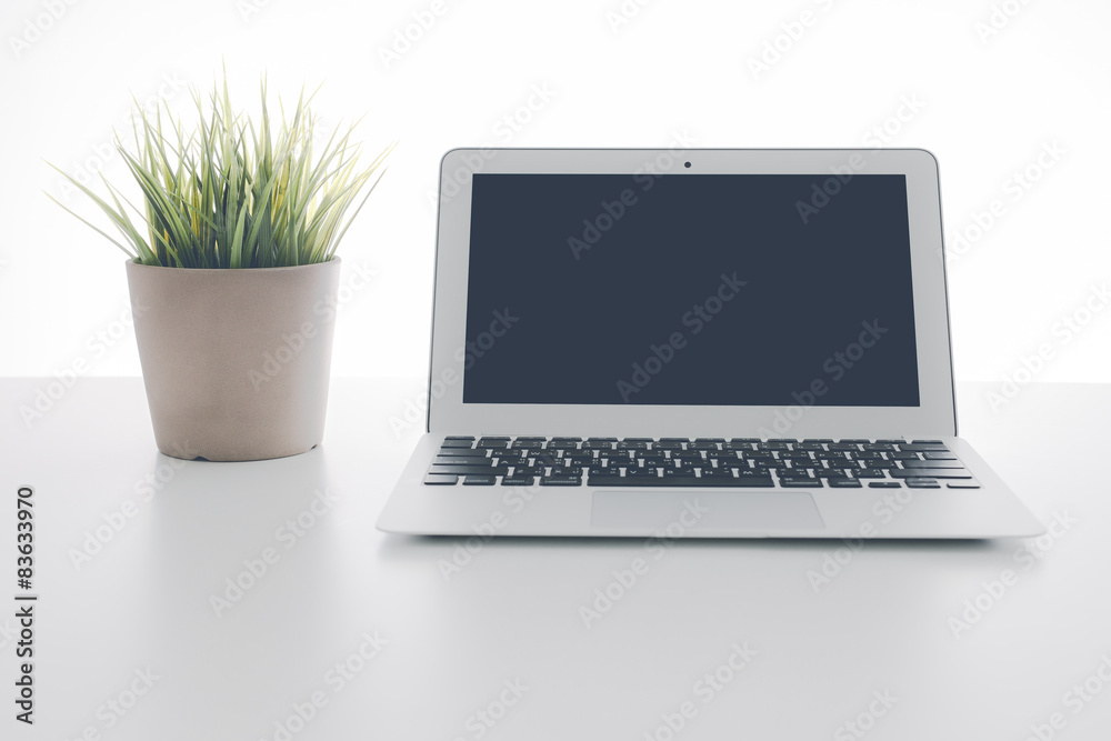 Fototapeta premium Laptop and flower pot