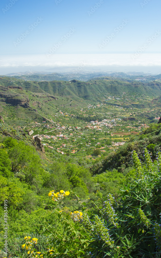 Naklejka premium Gran Canaria, Valsequillo municipality