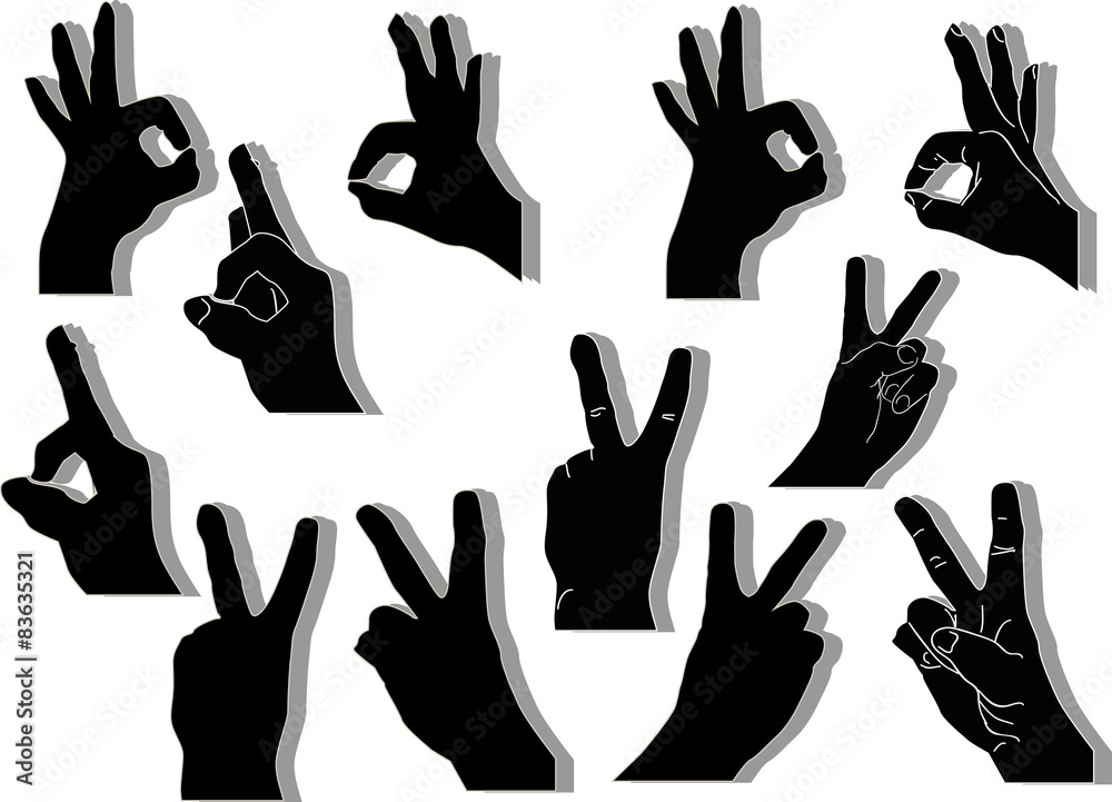 Fototapeta premium set of twelve hands with shadows on white