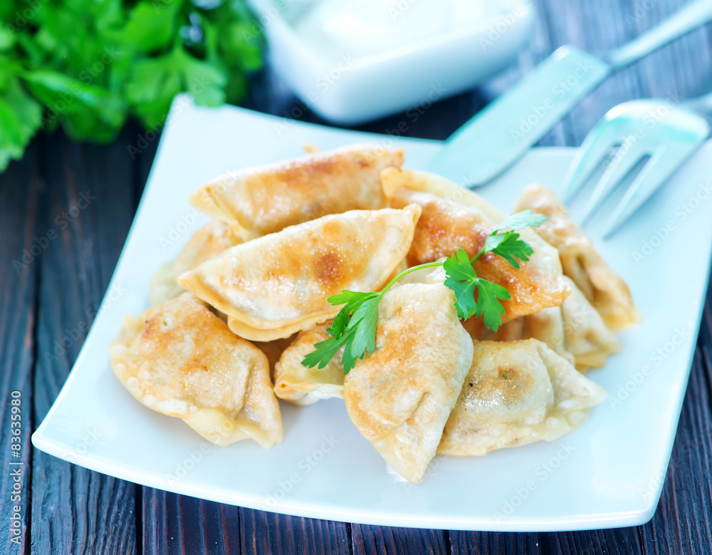 fried dumplings fried dumplings