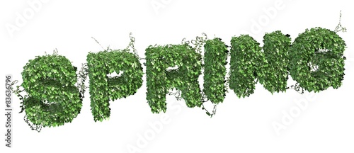 Spring word - from Ivy - isolated on white background