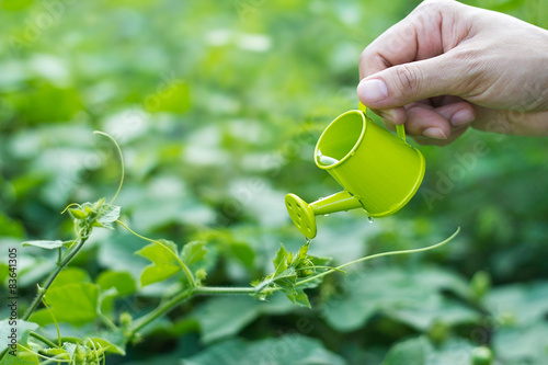 Pouring a young plant from a small watering can