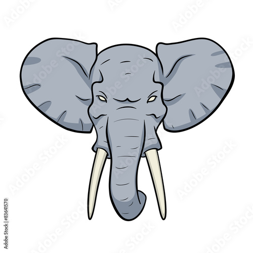 Elephant head