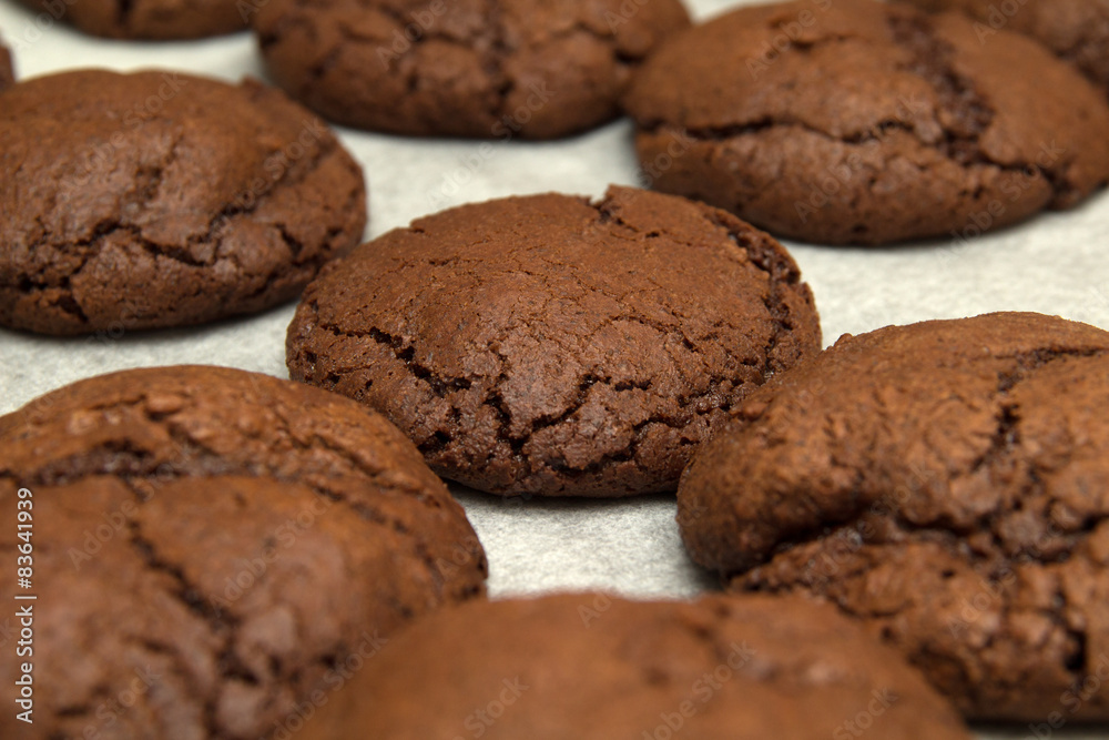 freshly made choocolate cookies freshly made choocolate cookies