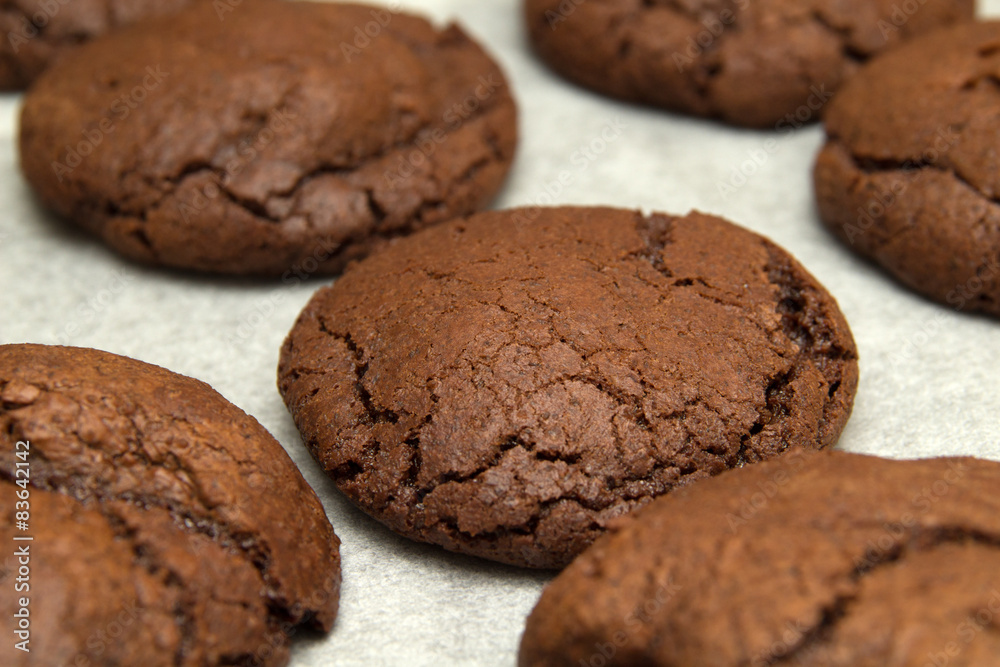 freshly made choocolate cookies freshly made choocolate cookies