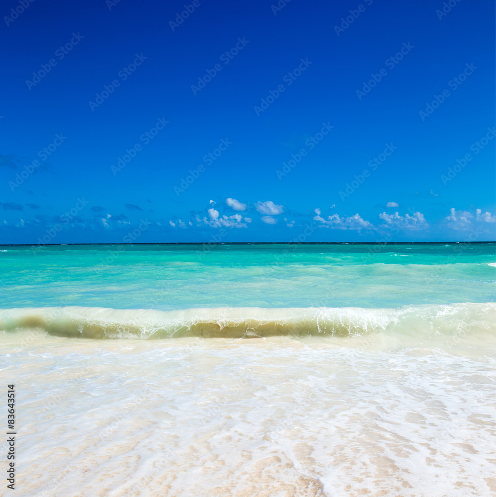 Fototapeta premium sea