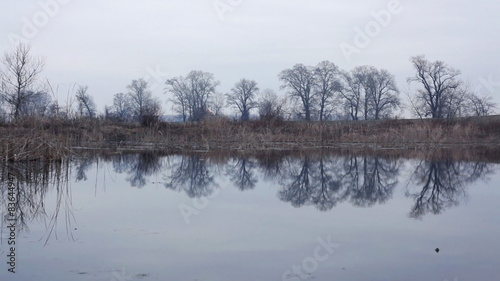 Wallpaper Mural HD 1080 steadicam: pond surface at late autumn Torontodigital.ca