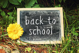 greeting card background- blackboard - back to school