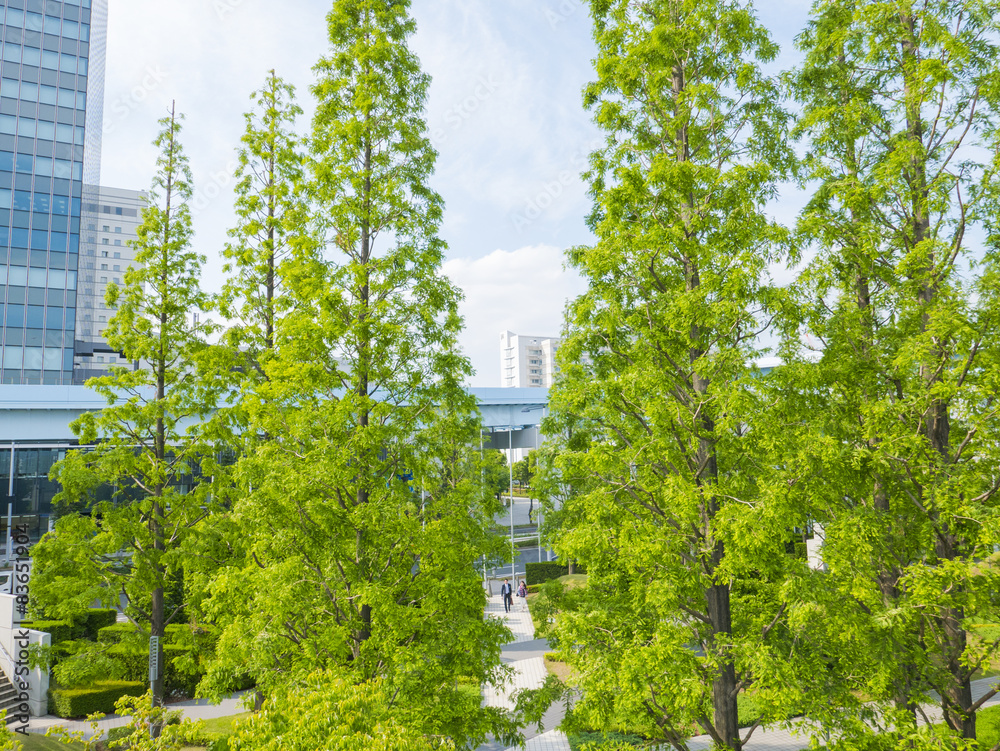 Fototapeta premium fresh green woods and office building.
