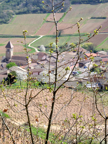 Bourgogne