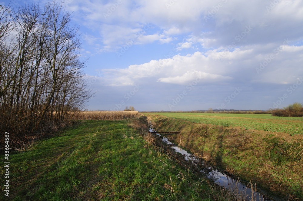 Drain canal through the fields