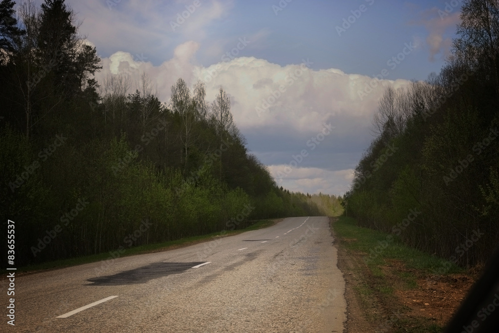 Fototapeta premium rural landscape road stretches into the distance
