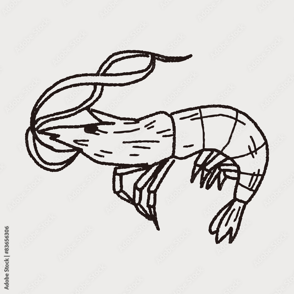 Fototapeta premium Shrimp doodle