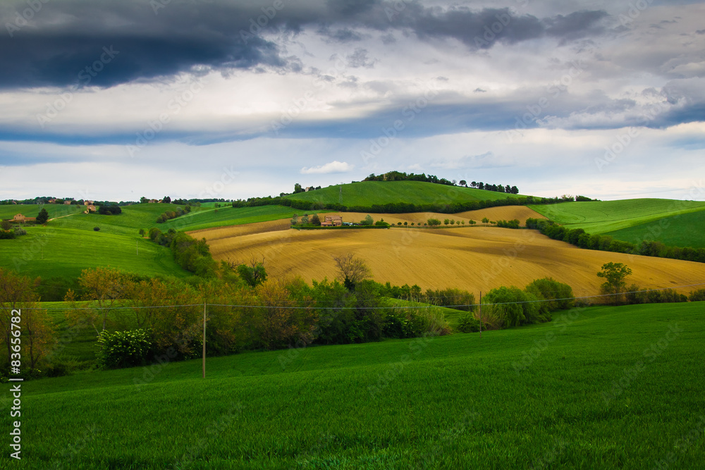 Zona rurale di campagna nella regione marche, Italia.