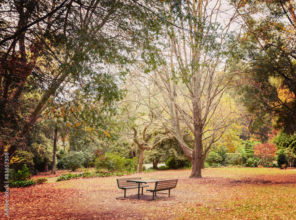 Lonely picnic table in beautiful garden
