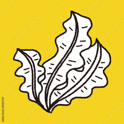 Kelp doodle