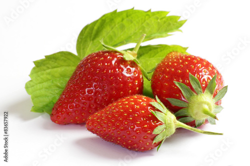 Canvastavla fraises 20052015