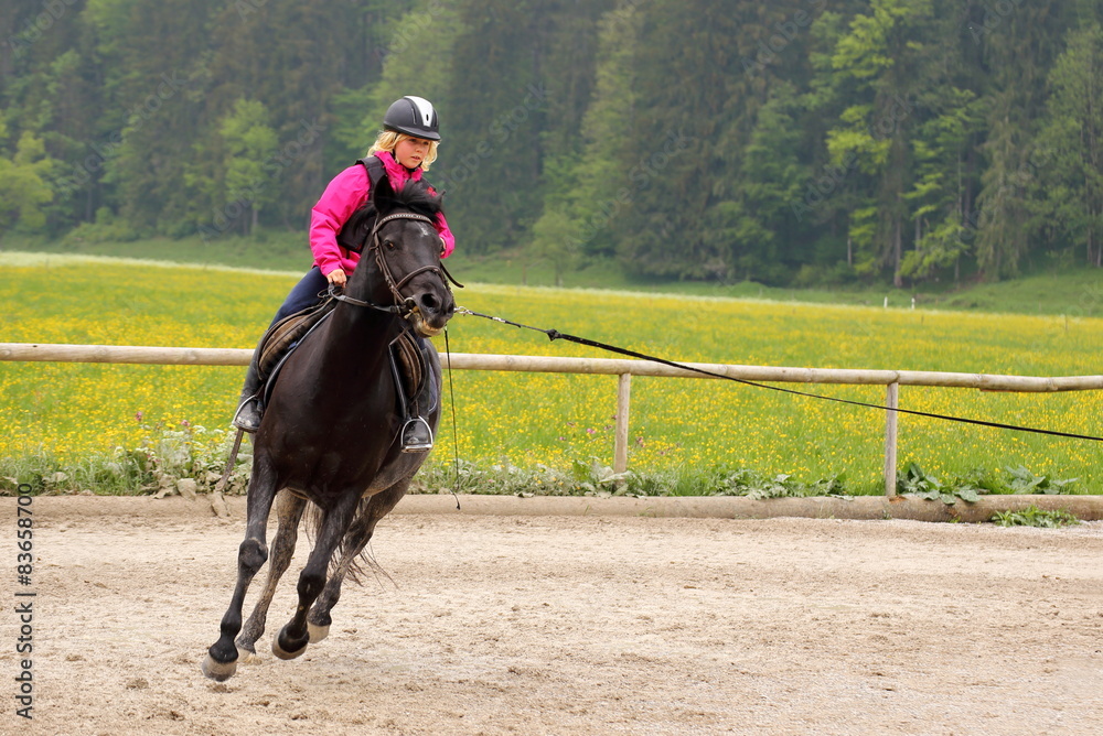 Pferd im Galopp Pferd im Galopp