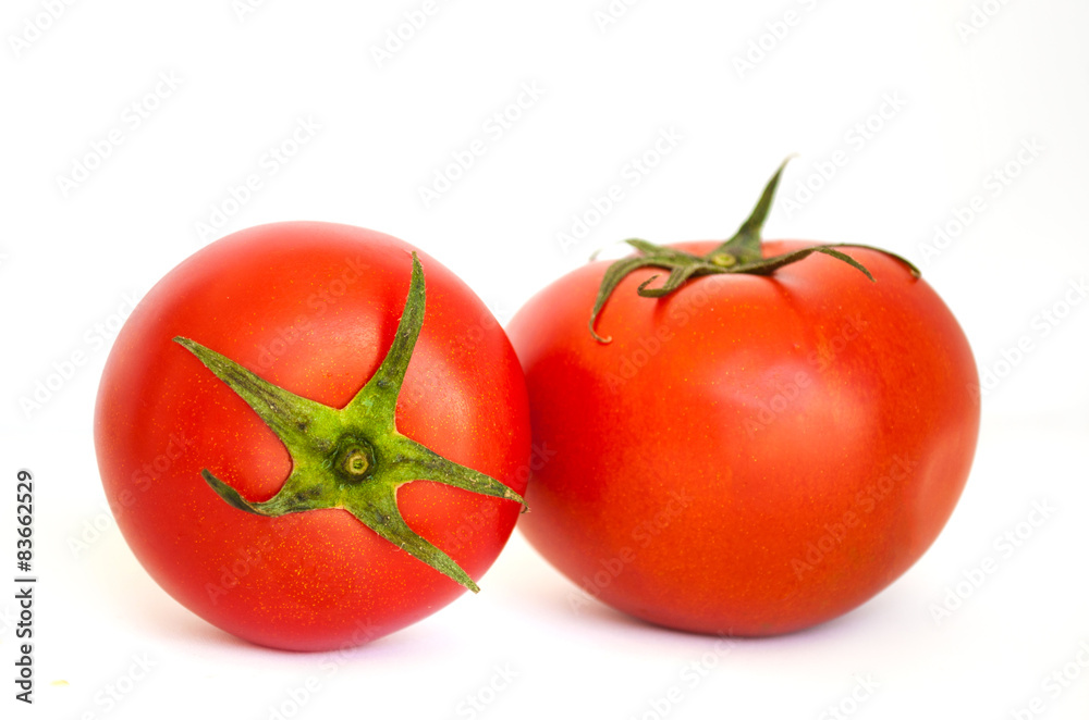 tomatos isolated in white