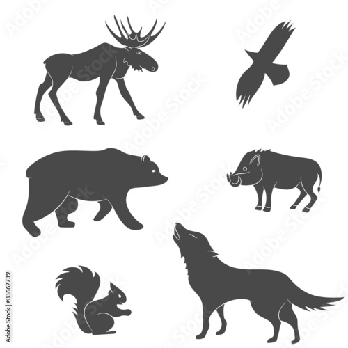 Set of forest animals. Bear  eagle  squirrel  wolf  pig  moose